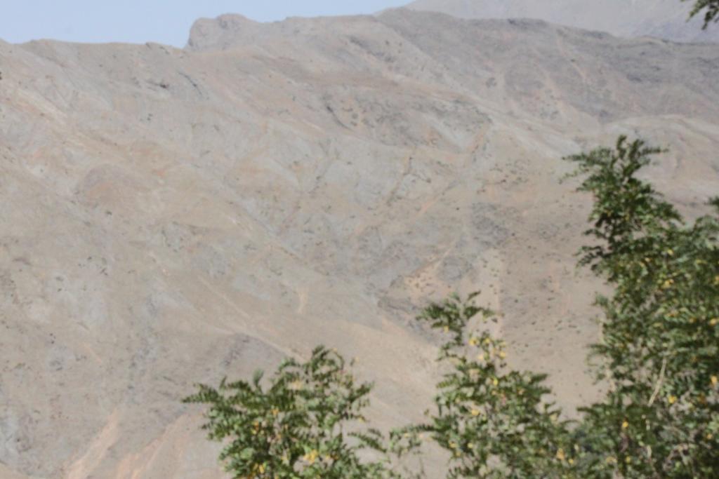 Dare Armed Imlil (Atlas Mountains) Bagian luar foto